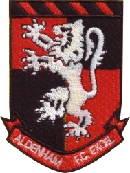 Aldenham FC Excel badge
